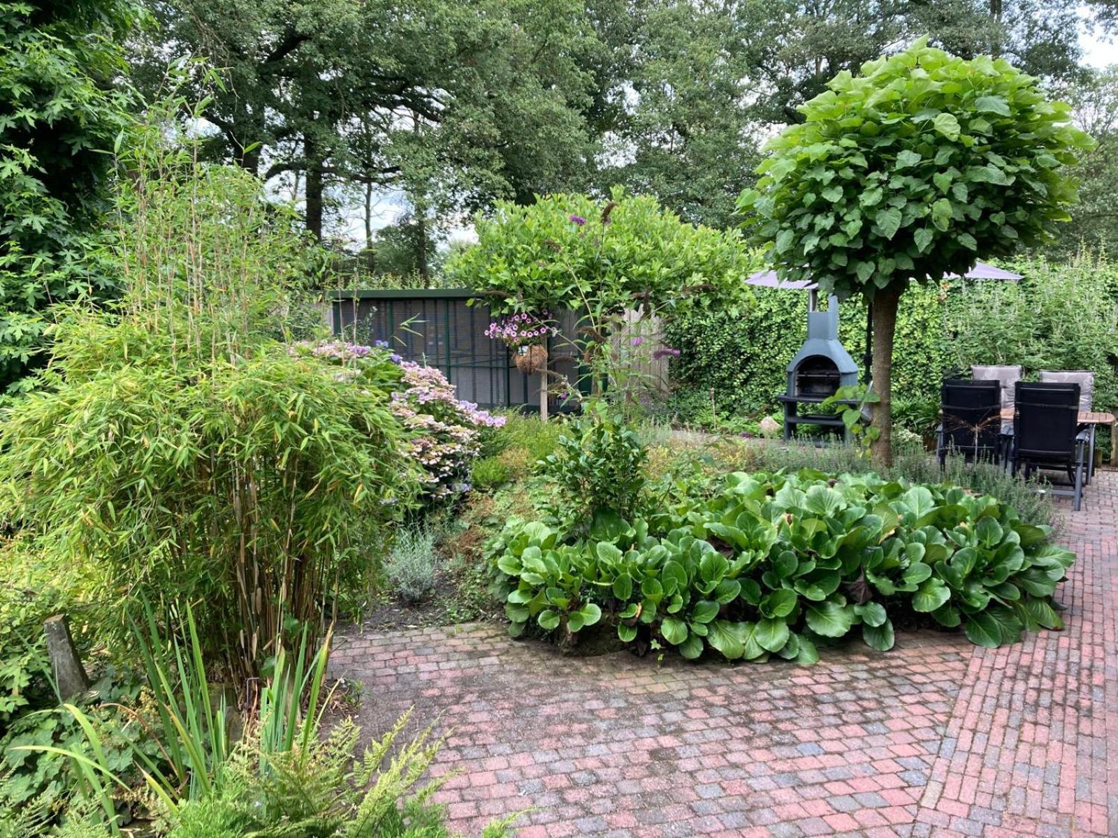 B&B Erve Moeskert Geesteren (Overijssel) Exterior foto